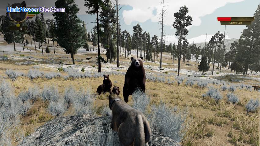 Hình ảnh trong game WolfQuest: Anniversary Edition (screenshot) Hình ảnh trong game WolfQuest: Anniversary Edition (screenshot)