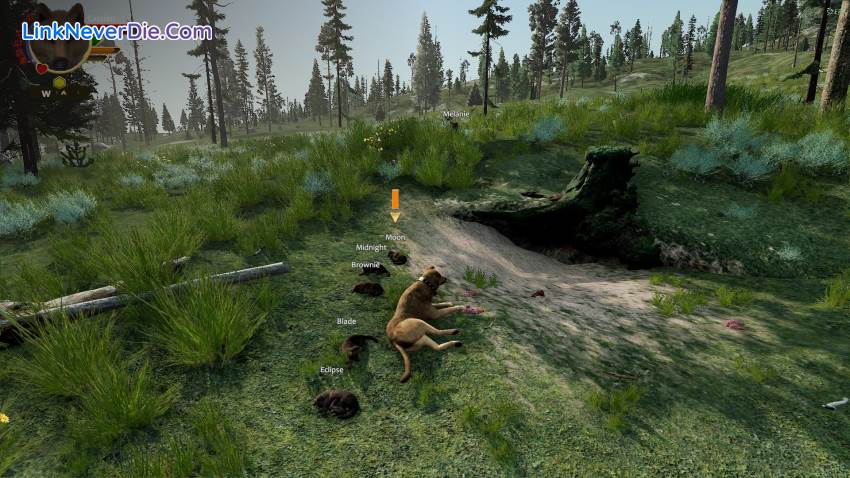 Hình ảnh trong game WolfQuest: Anniversary Edition (screenshot) Hình ảnh trong game WolfQuest: Anniversary Edition (screenshot)