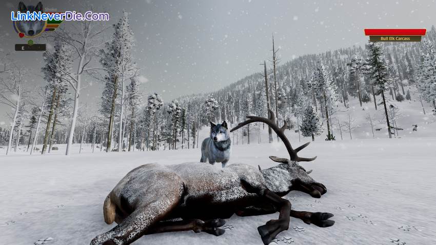 Hình ảnh trong game WolfQuest: Anniversary Edition (screenshot) Hình ảnh trong game WolfQuest: Anniversary Edition (screenshot)