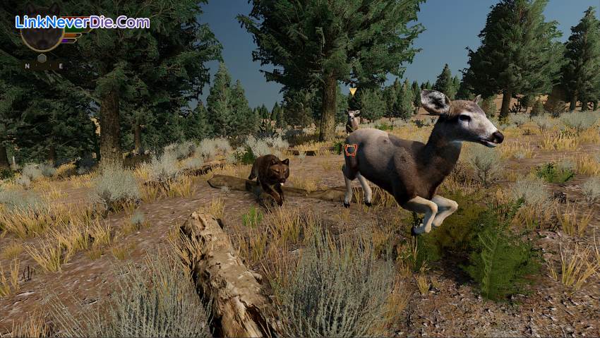 Hình ảnh trong game WolfQuest: Anniversary Edition (screenshot) Hình ảnh trong game WolfQuest: Anniversary Edition (screenshot)