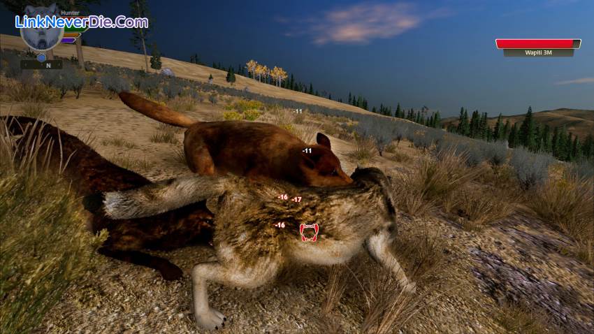 Hình ảnh trong game WolfQuest: Anniversary Edition (screenshot) Hình ảnh trong game WolfQuest: Anniversary Edition (screenshot)