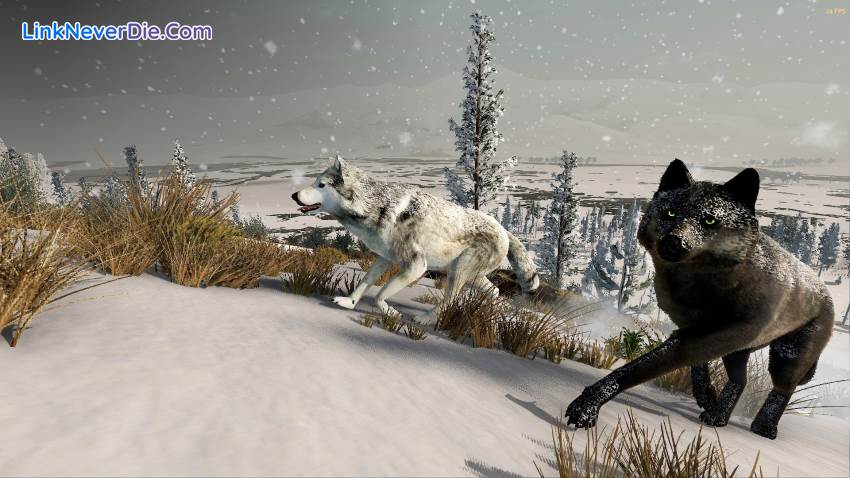 Hình ảnh trong game WolfQuest: Anniversary Edition (screenshot) Hình ảnh trong game WolfQuest: Anniversary Edition (screenshot)