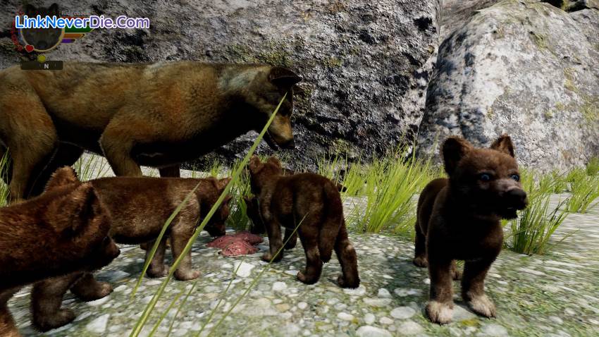 Hình ảnh trong game WolfQuest: Anniversary Edition (screenshot) Hình ảnh trong game WolfQuest: Anniversary Edition (screenshot)