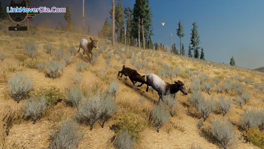 Hình ảnh trong game WolfQuest: Anniversary Edition (screenshot) Hình ảnh trong game WolfQuest: Anniversary Edition (screenshot)