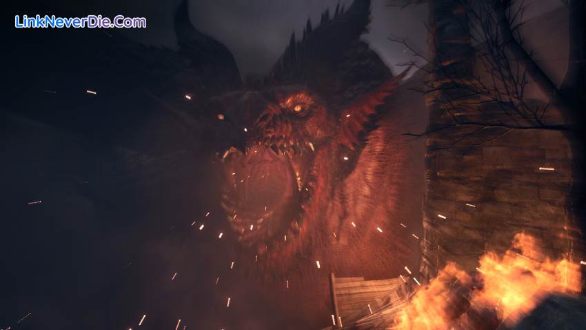 Hình ảnh trong game Dragon's Dogma 2 (screenshot) Hình ảnh trong game Dragon's Dogma 2 (screenshot)