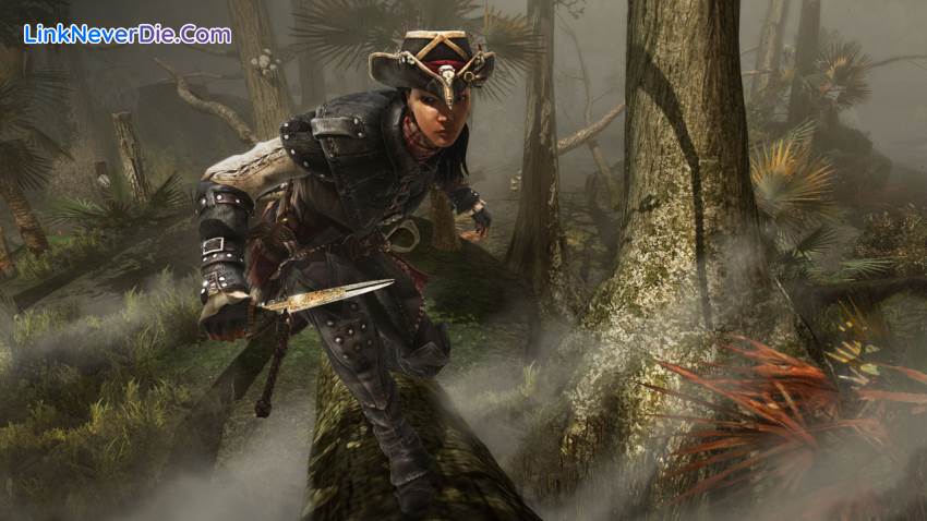 Hình ảnh trong game Assassin's Creed Liberation HD (screenshot) Hình ảnh trong game Assassin's Creed Liberation HD (screenshot)