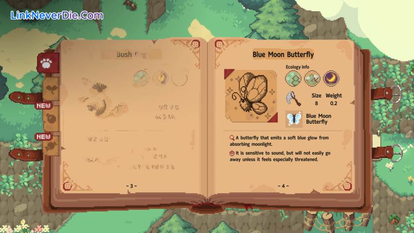 Hình ảnh trong game Little Witch in the Woods (screenshot) Hình ảnh trong game Little Witch in the Woods (screenshot)