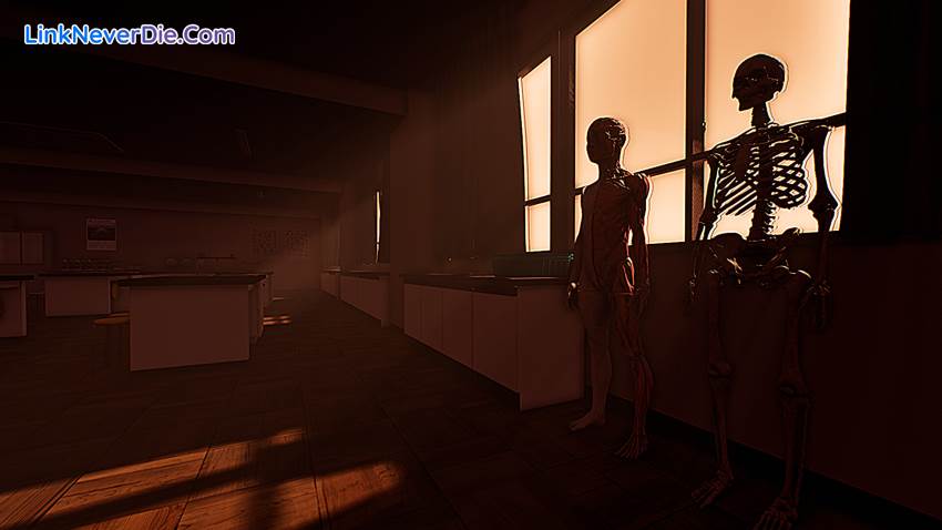 Hình ảnh trong game School Labyrinth (screenshot) Hình ảnh trong game School Labyrinth (screenshot)