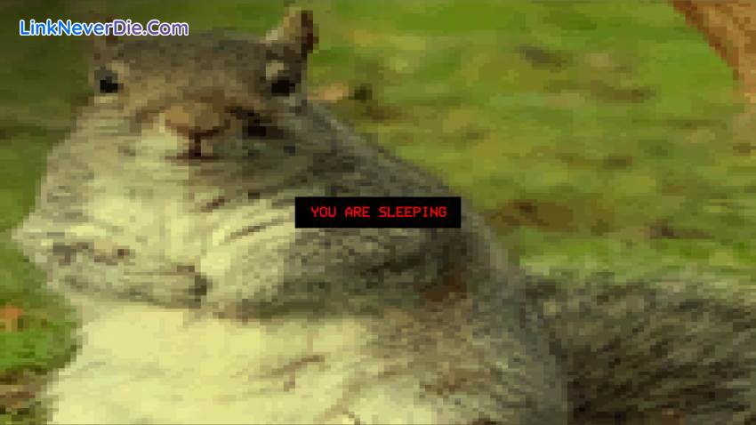 Hình ảnh trong game Squirrel Stapler (screenshot) Hình ảnh trong game Squirrel Stapler (screenshot)