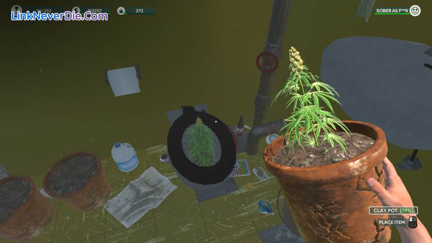 Hình ảnh trong game Weed Shop 3 (screenshot) Hình ảnh trong game Weed Shop 3 (screenshot)