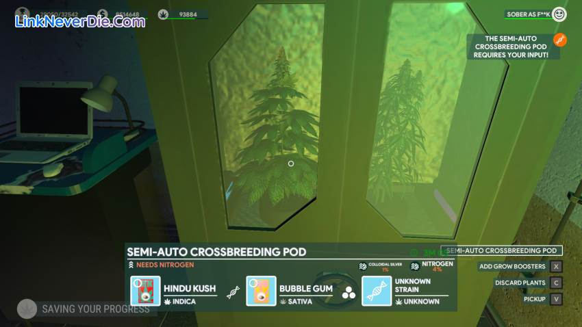 Hình ảnh trong game Weed Shop 3 (screenshot) Hình ảnh trong game Weed Shop 3 (screenshot)