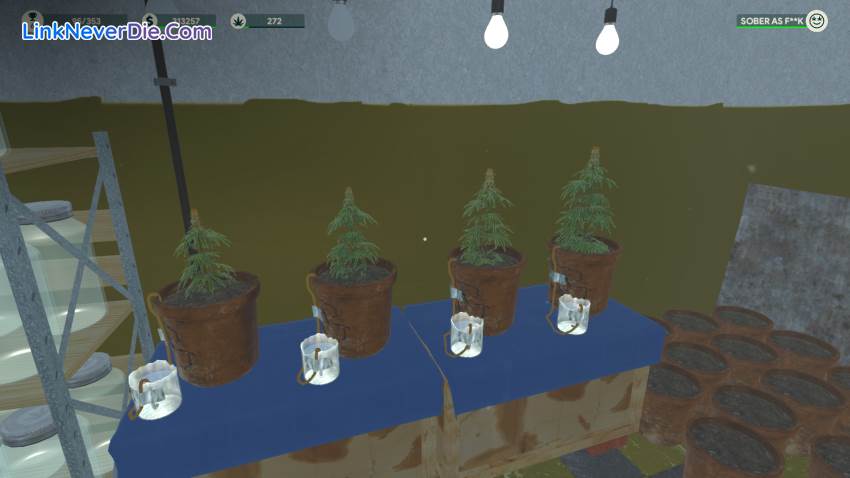 Hình ảnh trong game Weed Shop 3 (screenshot) Hình ảnh trong game Weed Shop 3 (screenshot)