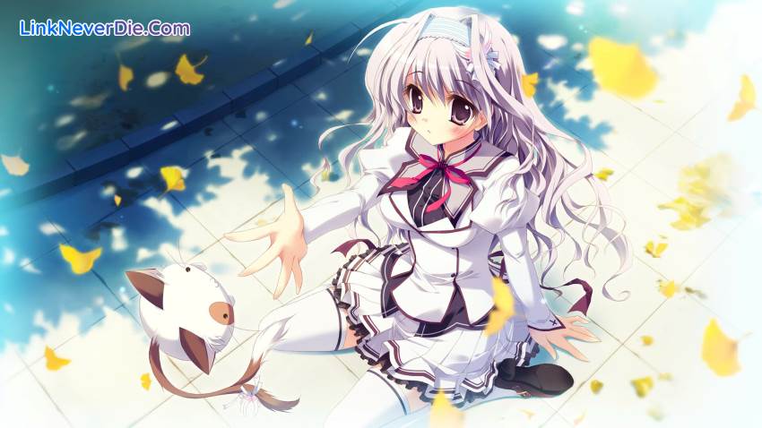 Hình ảnh trong game Mashiroiro Symphony HD -Love is Pure White- (screenshot) Hình ảnh trong game Mashiroiro Symphony HD -Love is Pure White- (screenshot)