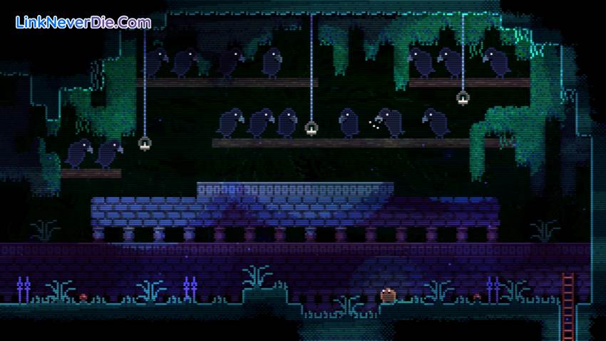 Hình ảnh trong game ANIMAL WELL (screenshot) Hình ảnh trong game ANIMAL WELL (screenshot)