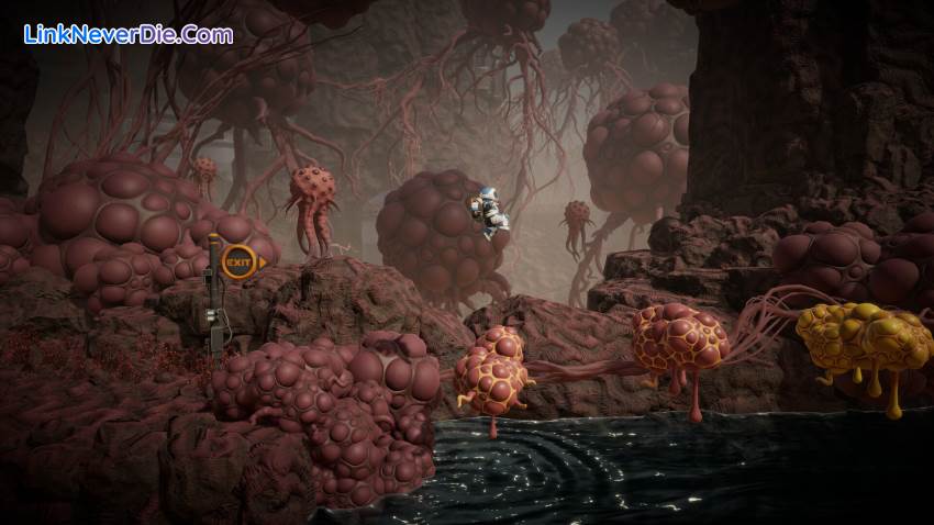 Hình ảnh trong game The Mobius Machine (screenshot) Hình ảnh trong game The Mobius Machine (screenshot)