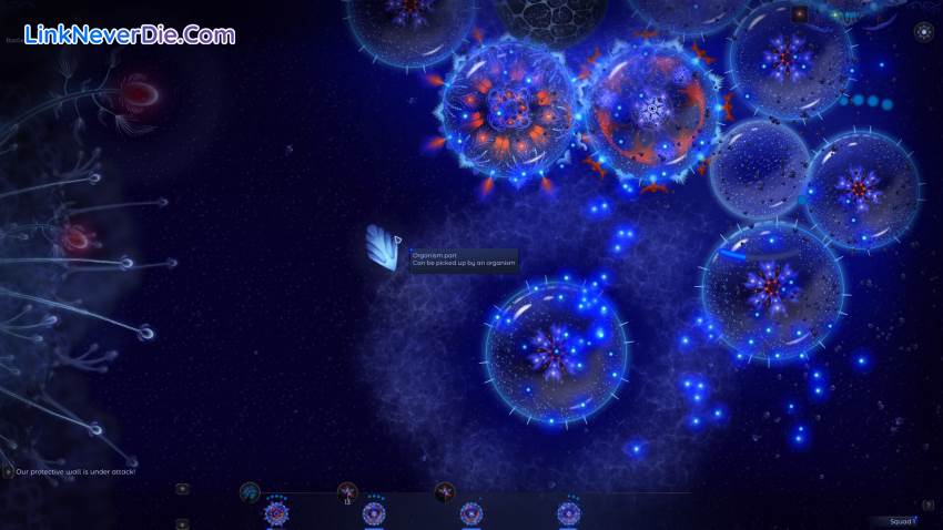 Hình ảnh trong game Microcosmum 2 (screenshot) Hình ảnh trong game Microcosmum 2 (screenshot)