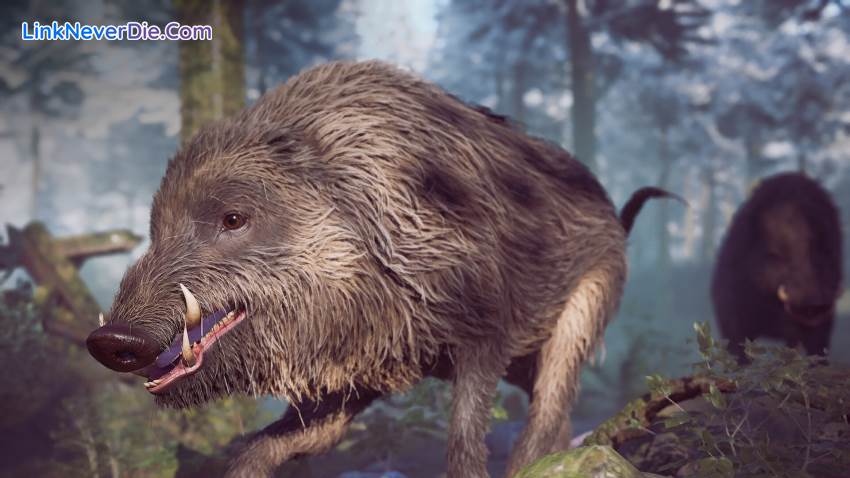 Hình ảnh trong game Winter Survival (screenshot) Hình ảnh trong game Winter Survival (screenshot)