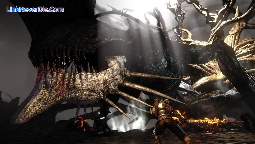 Hình ảnh trong game Bound By Flame (screenshot) Hình ảnh trong game Bound By Flame (screenshot)