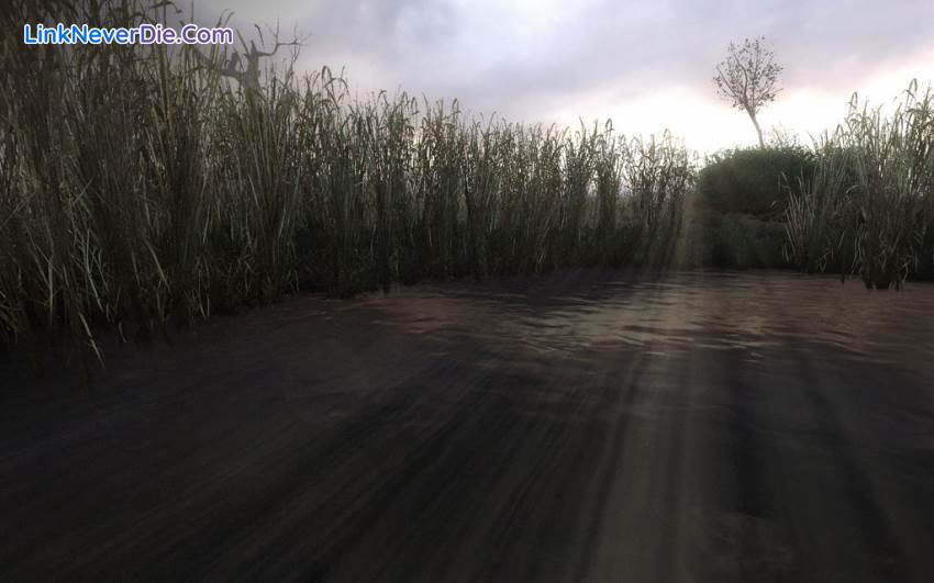Hình ảnh trong game S.T.A.L.K.E.R. Clear Sky (screenshot) Hình ảnh trong game S.T.A.L.K.E.R. Clear Sky (screenshot)