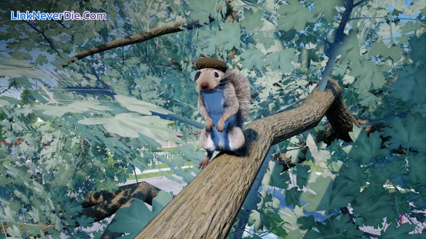 Hình ảnh trong game Squirrel with a Gun (screenshot) Hình ảnh trong game Squirrel with a Gun (screenshot)
