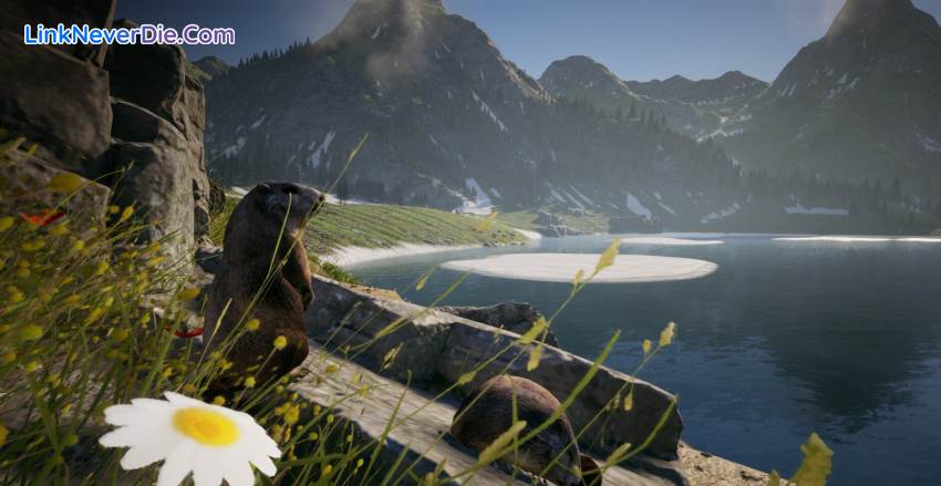 Hình ảnh trong game TRYP FPV : The Drone Racer Simulator (screenshot) Hình ảnh trong game TRYP FPV : The Drone Racer Simulator (screenshot)