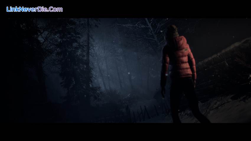 Hình ảnh trong game Until Dawn (screenshot) Hình ảnh trong game Until Dawn (screenshot)