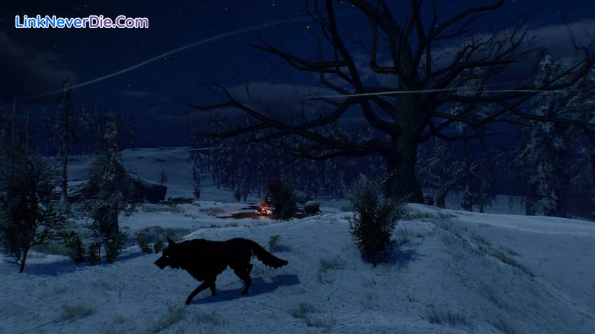 Hình ảnh trong game ASKA (screenshot) Hình ảnh trong game ASKA (screenshot)