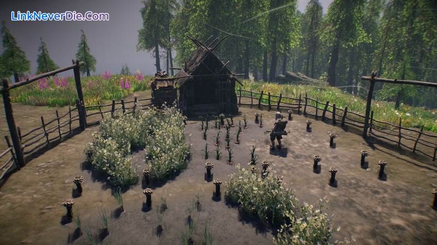 Hình ảnh trong game ASKA (screenshot) Hình ảnh trong game ASKA (screenshot)