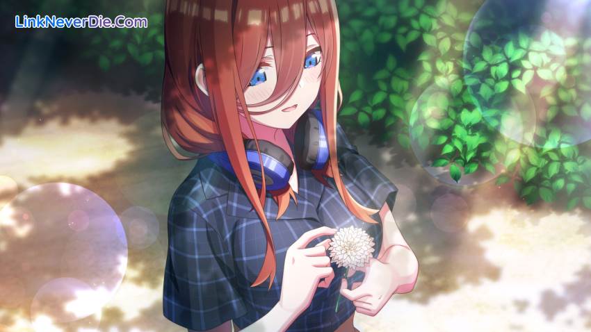 Hình ảnh trong game The Quintessential Quintuplets - Memories of a Quintessential Summer (screenshot) Hình ảnh trong game The Quintessential Quintuplets - Memories of a Quintessential Summer (screenshot)