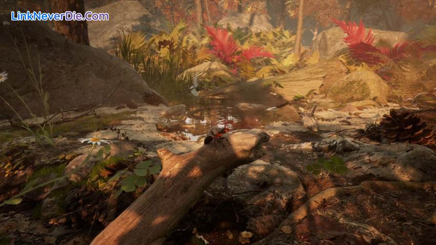 Hình ảnh trong game Empire of the Ants (screenshot) Hình ảnh trong game Empire of the Ants (screenshot)