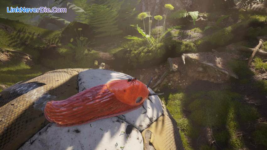 Hình ảnh trong game Empire of the Ants (screenshot) Hình ảnh trong game Empire of the Ants (screenshot)