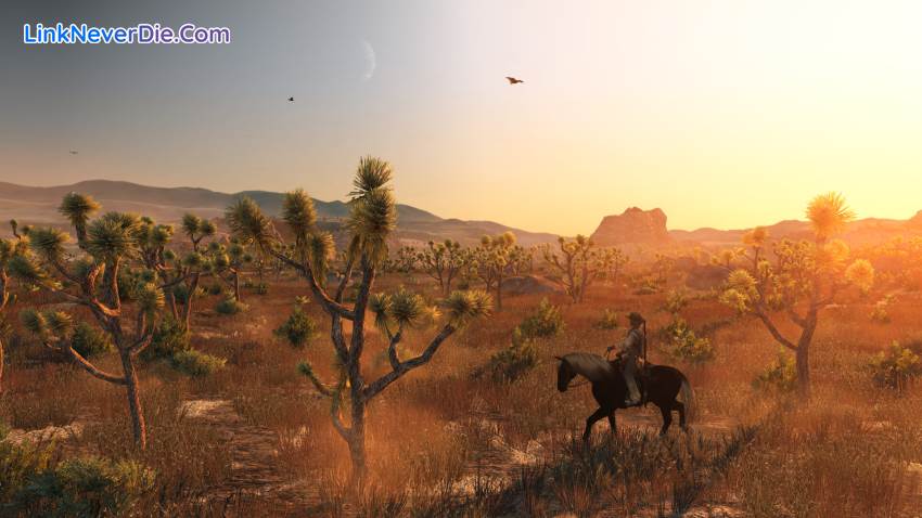 Hình ảnh trong game Red Dead Redemption (screenshot) Hình ảnh trong game Red Dead Redemption (screenshot)