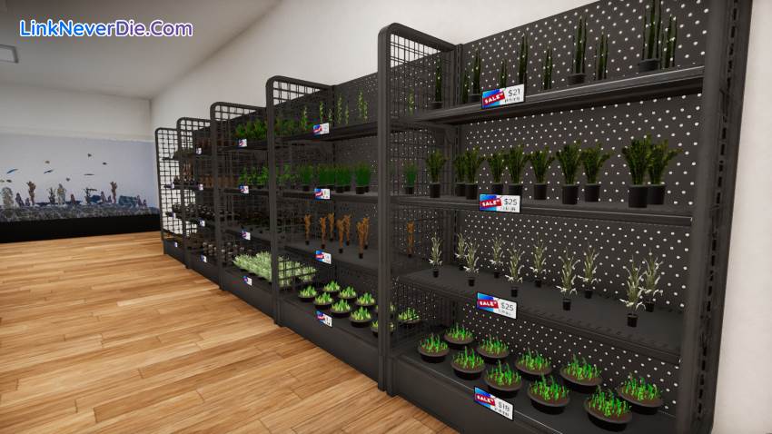 Hình ảnh trong game Aquatic Store Simulator (screenshot) Hình ảnh trong game Aquatic Store Simulator (screenshot)
