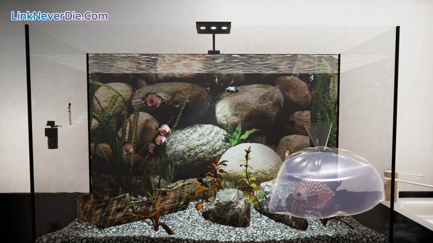 Hình ảnh trong game Aquatic Store Simulator (screenshot) Hình ảnh trong game Aquatic Store Simulator (screenshot)