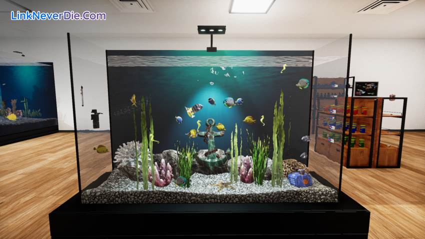 Hình ảnh trong game Aquatic Store Simulator (screenshot) Hình ảnh trong game Aquatic Store Simulator (screenshot)