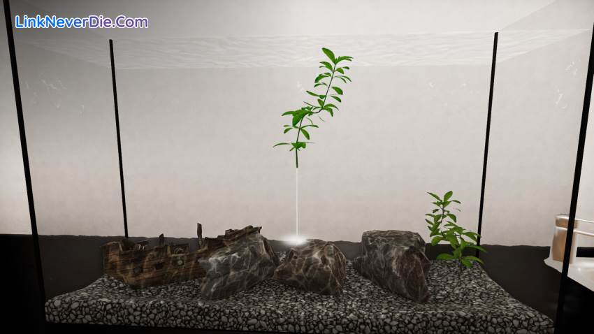 Hình ảnh trong game Aquatic Store Simulator (screenshot) Hình ảnh trong game Aquatic Store Simulator (screenshot)