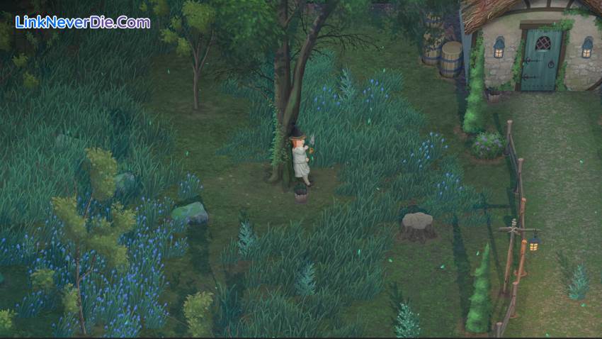 Hình ảnh trong game Mirthwood (screenshot) Hình ảnh trong game Mirthwood (screenshot)