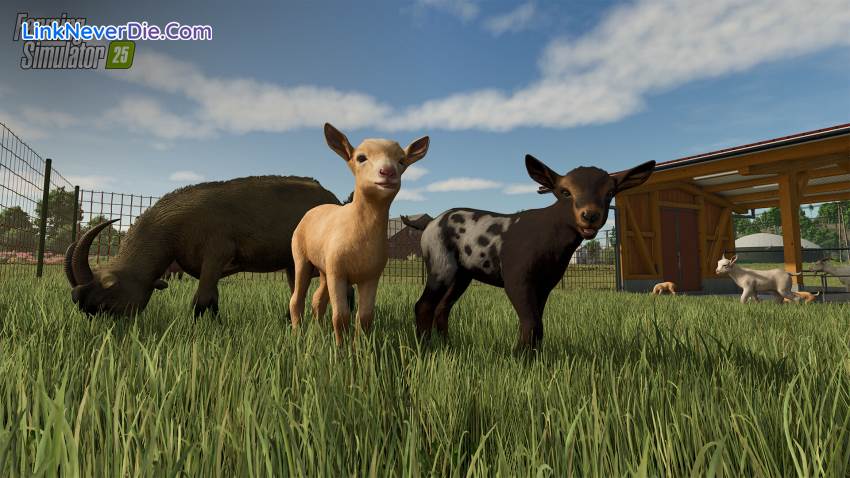 Hình ảnh trong game Farming Simulator 25 (screenshot) Hình ảnh trong game Farming Simulator 25 (screenshot)