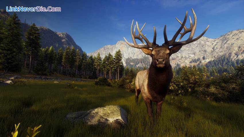 Hình ảnh trong game Way of the Hunter (screenshot) Hình ảnh trong game Way of the Hunter (screenshot)