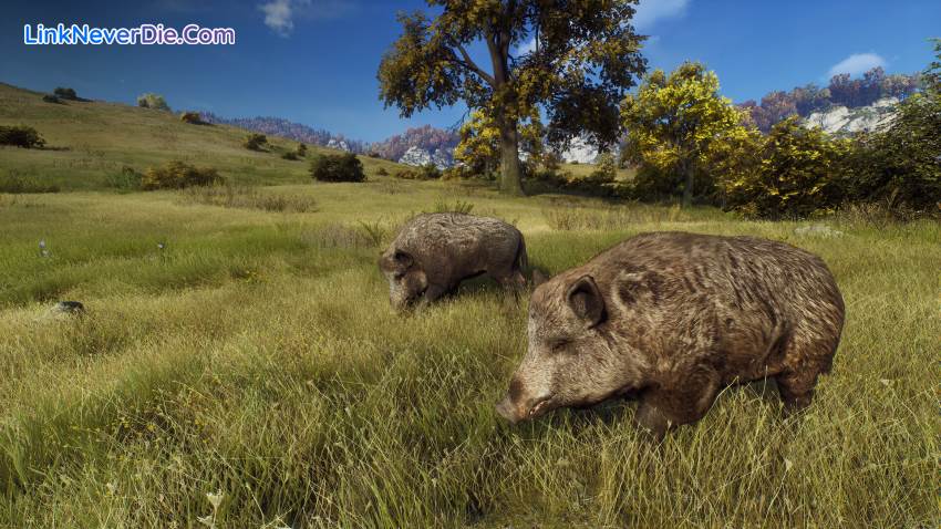 Hình ảnh trong game Way of the Hunter (screenshot) Hình ảnh trong game Way of the Hunter (screenshot)