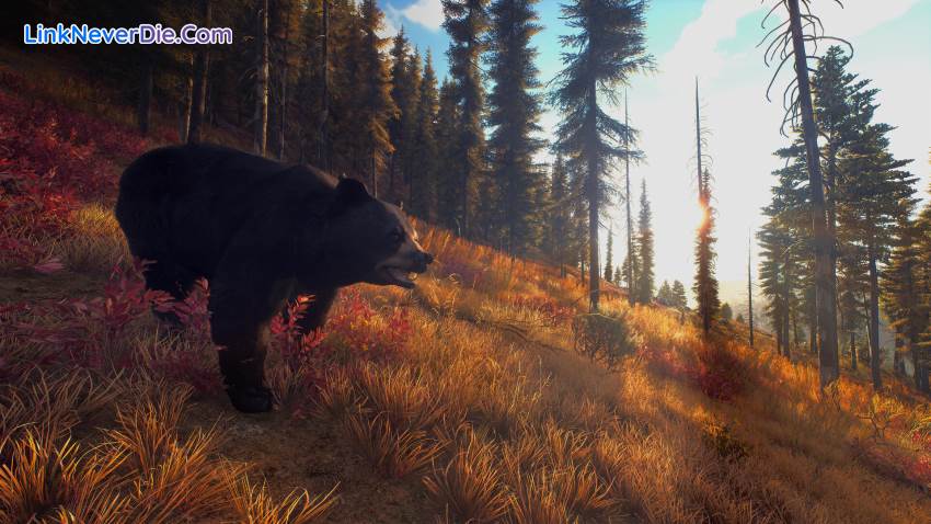 Hình ảnh trong game Way of the Hunter (screenshot) Hình ảnh trong game Way of the Hunter (screenshot)