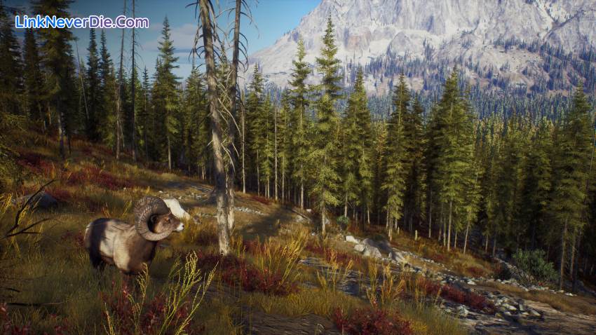 Hình ảnh trong game Way of the Hunter (screenshot) Hình ảnh trong game Way of the Hunter (screenshot)