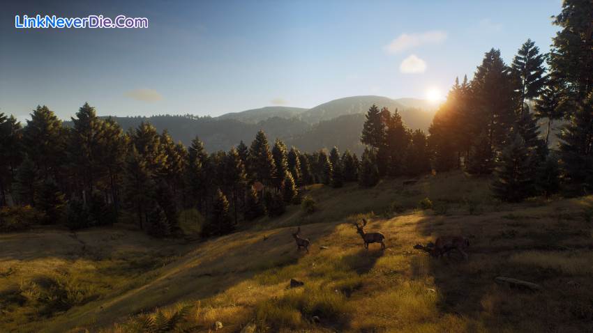 Hình ảnh trong game Way of the Hunter (screenshot) Hình ảnh trong game Way of the Hunter (screenshot)