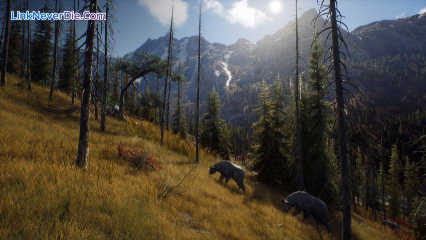 Hình ảnh trong game Way of the Hunter (screenshot) Hình ảnh trong game Way of the Hunter (screenshot)