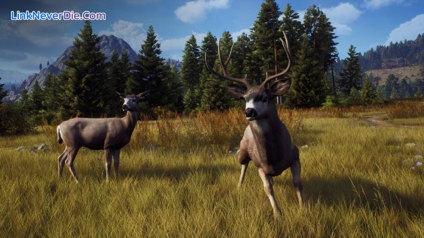 Hình ảnh trong game Way of the Hunter (screenshot) Hình ảnh trong game Way of the Hunter (screenshot)
