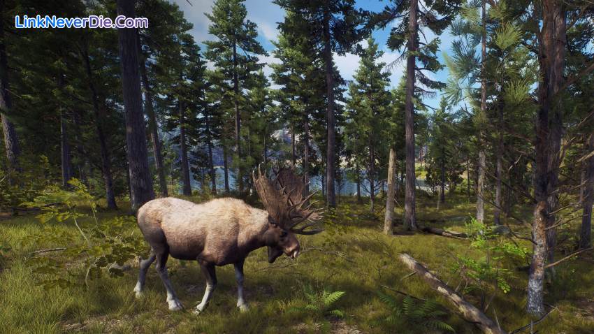 Hình ảnh trong game Way of the Hunter (screenshot) Hình ảnh trong game Way of the Hunter (screenshot)