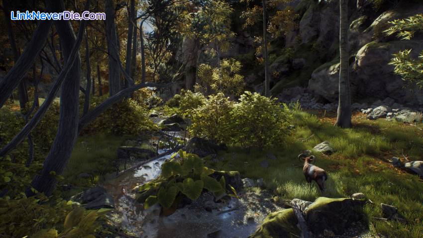 Hình ảnh trong game Way of the Hunter (screenshot) Hình ảnh trong game Way of the Hunter (screenshot)