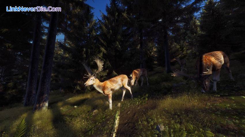 Hình ảnh trong game Way of the Hunter (screenshot) Hình ảnh trong game Way of the Hunter (screenshot)