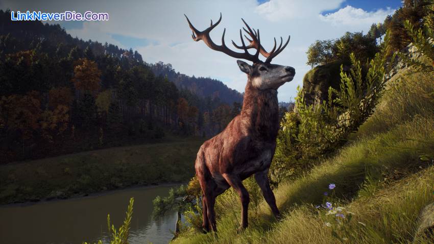 Hình ảnh trong game Way of the Hunter (screenshot) Hình ảnh trong game Way of the Hunter (screenshot)