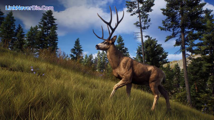 Hình ảnh trong game Way of the Hunter (screenshot) Hình ảnh trong game Way of the Hunter (screenshot)